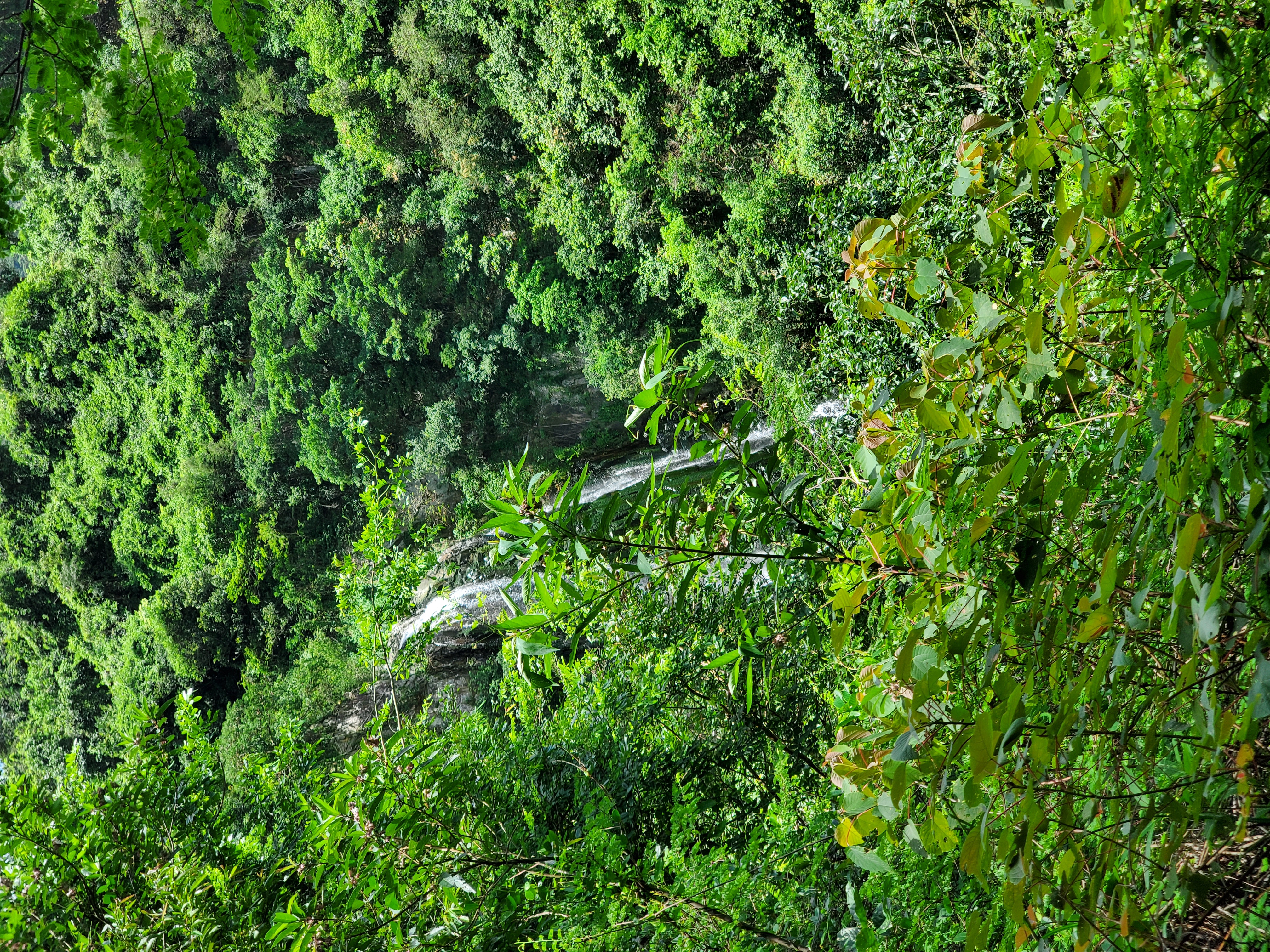 Waterfall on the trail to Pak Shui Wun