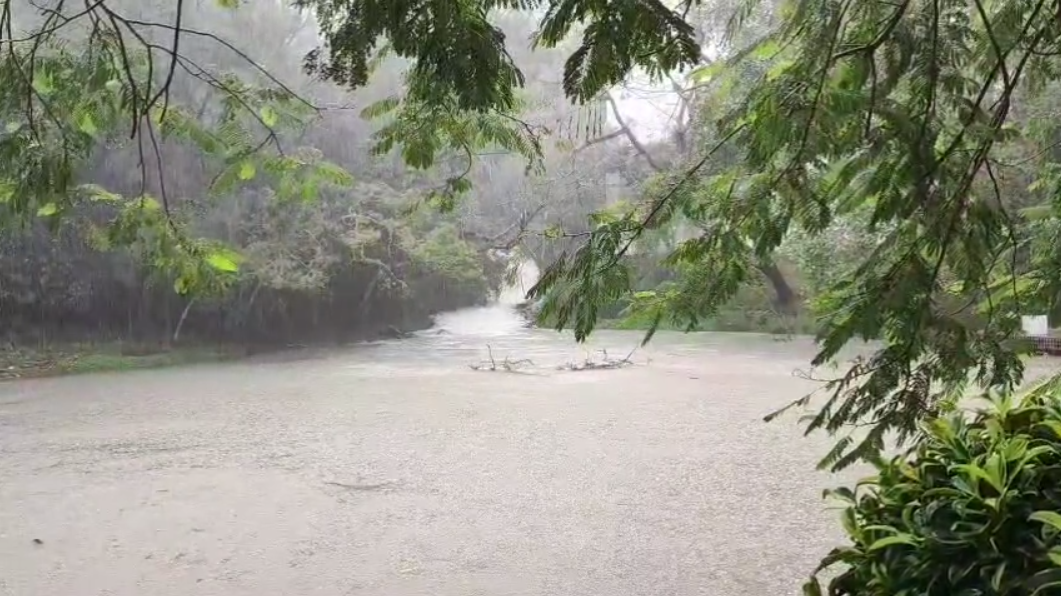 rain in mosq pool